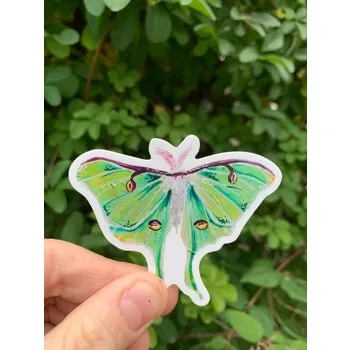 Luna Moth Sticker