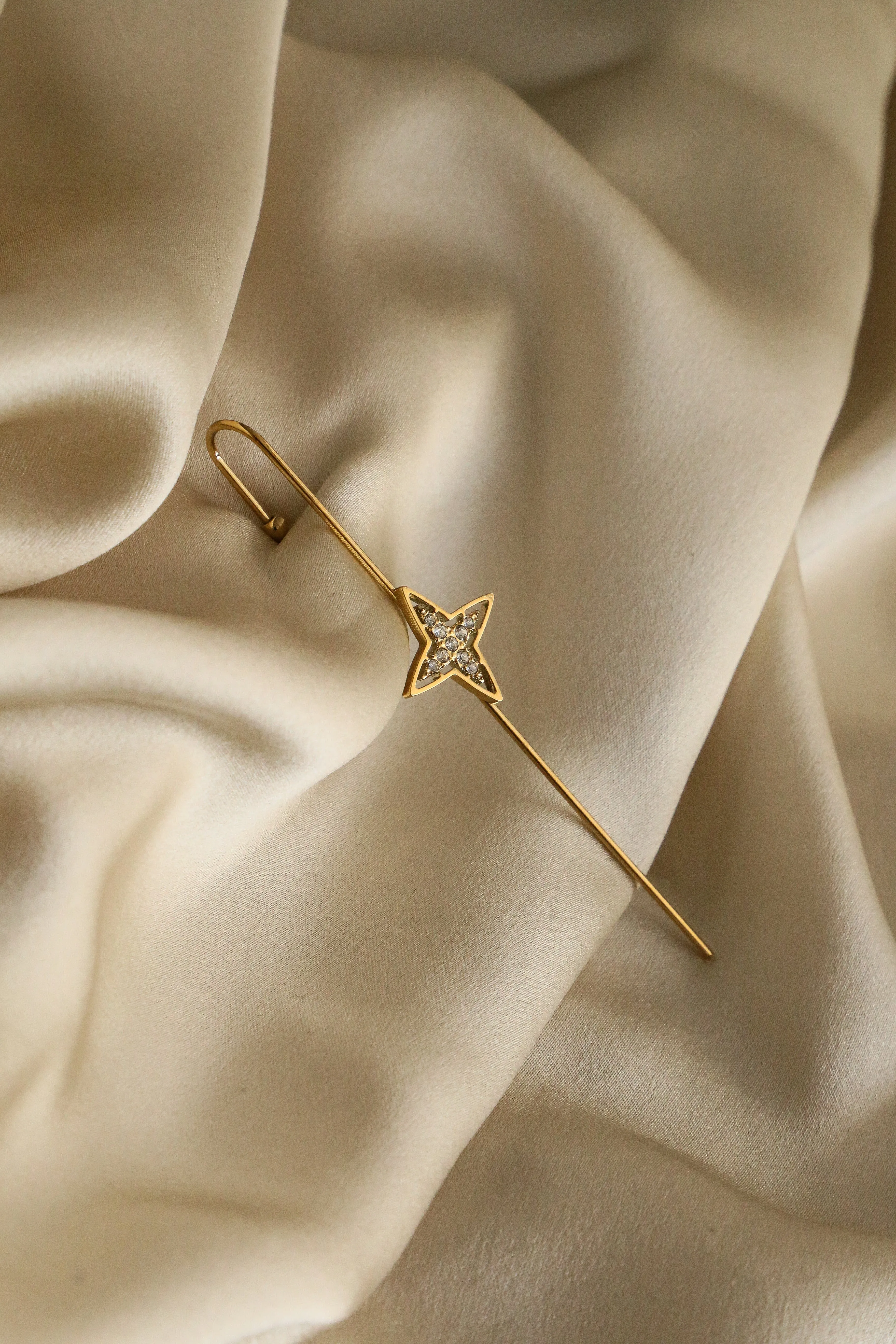 Paola Ear Pin