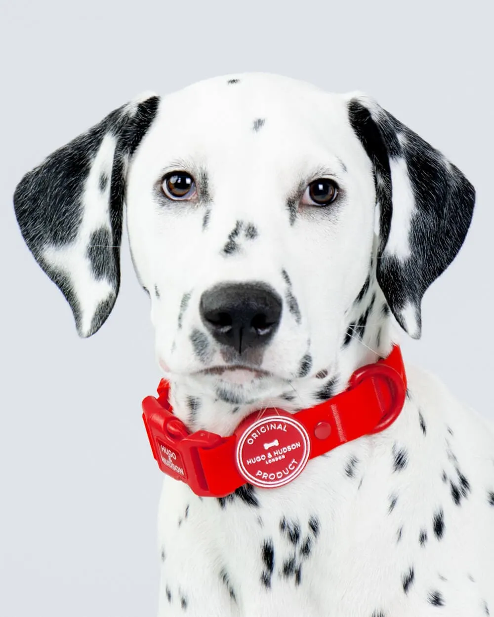 Waterproof Dog Collar - Red