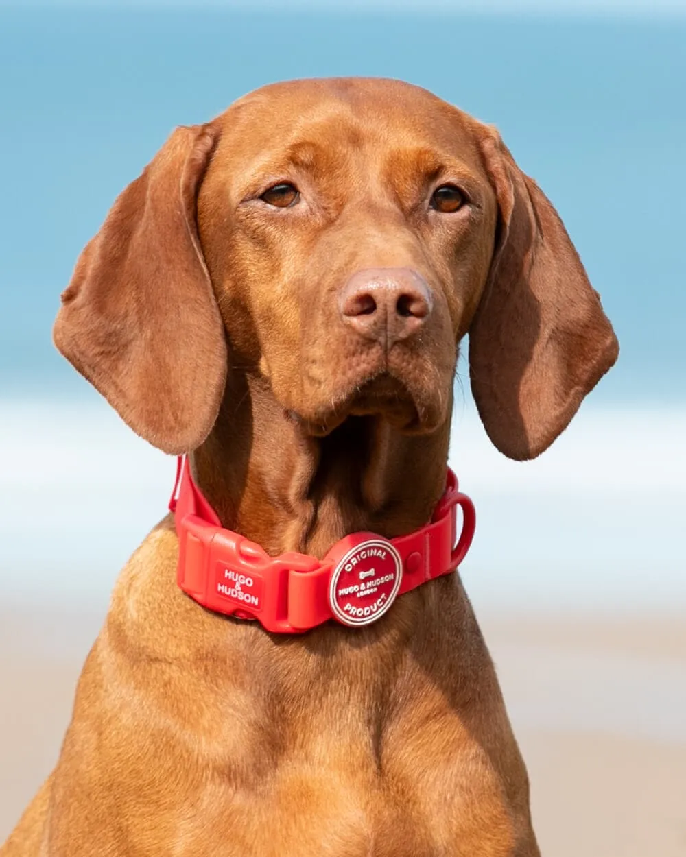 Waterproof Dog Collar - Red