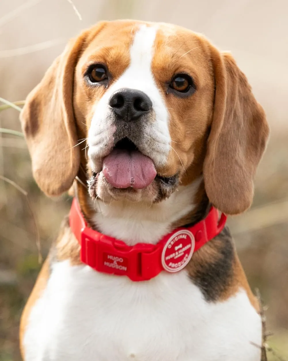 Waterproof Dog Collar - Red